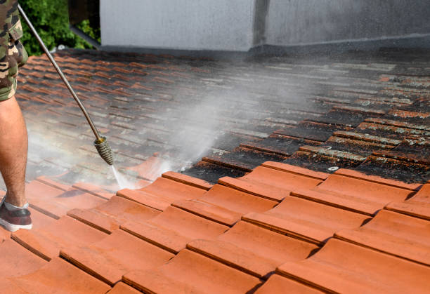 Best Pressure Washing Company Near Me  in Mountain Village, CO
